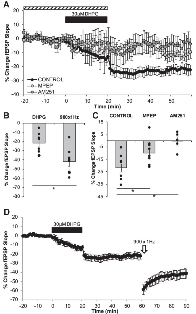 mGluR-LTD is also dependent on CB1R. (A) LTD was measured as the average percentage of change in the fEPSP slope relative to baseline for minutes 55–60 as a result of the wash of the group I mGluR agonist DHPG (30 µM, indicated as black bar). Dashed bar represents the duration of exposure of pharmacological inhibitors. (B,D) Establishment of mGluR-LTD (−21.96% ± 3.68%, n = 8 slices) does not occlude further synaptic depression by 900 × 1 Hz LFS (−41.86 ± 4.97%, n = 8 slices P = 0.00506) (C) DHPG leads to long-term depression of the fEPSP (−21.96 ± 3.68%, n = 8 slices) and pharmacological inhibition of mGluR5 significantly attenuated this LTD (−10.18 ± 3.50%, n = 9 slices, P = 0.035) while CB1R inhibition of blocked the LTD maintenance (−0.44 ± 3.20%, n = 5 slices, P = 0.001). Dots represent the average amounts of LTD for each slice that make up the average (indicated as the bar) for each group. Error bars throughout represent the standard error of the mean. Statistical significance was achieved by a two-tailed t-test compared against control and P < 0.05 is indicated by a *.