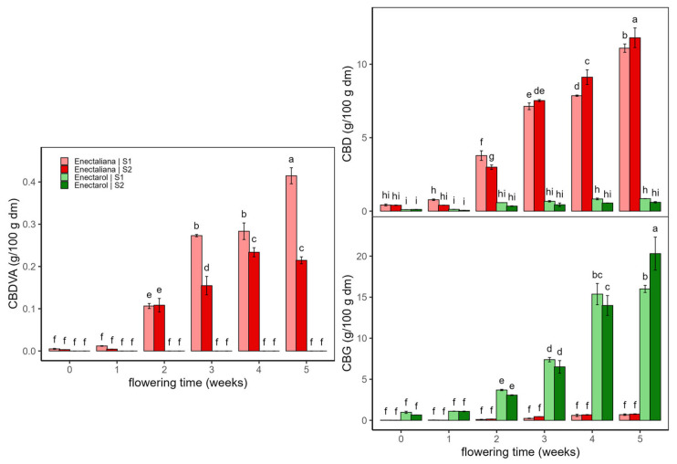 Non-psychoactive cannabinoids in Enectaliana and Enectarol cultivars from 0 to 5 flowering weeks for two planting densities (Sector 1 (S1) ≈ 2.3 plants m−2; Sector 2 (S2) ≈ 4.6 plants m−2): CBDVA, CBD and CBG. Different letters indicate significant differences (p < 0.05).