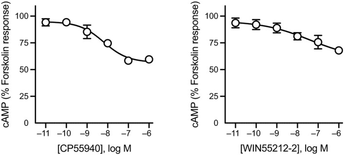 Concentration response curve for CP55940 and WIN55212‐2. Treatment with CP55940 or WIN55212‐2 produced a concentration‐dependent inhibition of forskolin‐mediated cAMP production in human embryonic kidney 293‐cannabinoid receptor type 1. Curves were generated by area under the curve analysis for CP55940 or WIN55212‐2 in the presence of 3 μmol L−1 forskolin. Data were normalized to forskolin (100%) and vehicle (0%), and plotted as mean ± SEM for at least five independent experiments performed in duplicate. cAMP, cyclic adenosine monophosphate