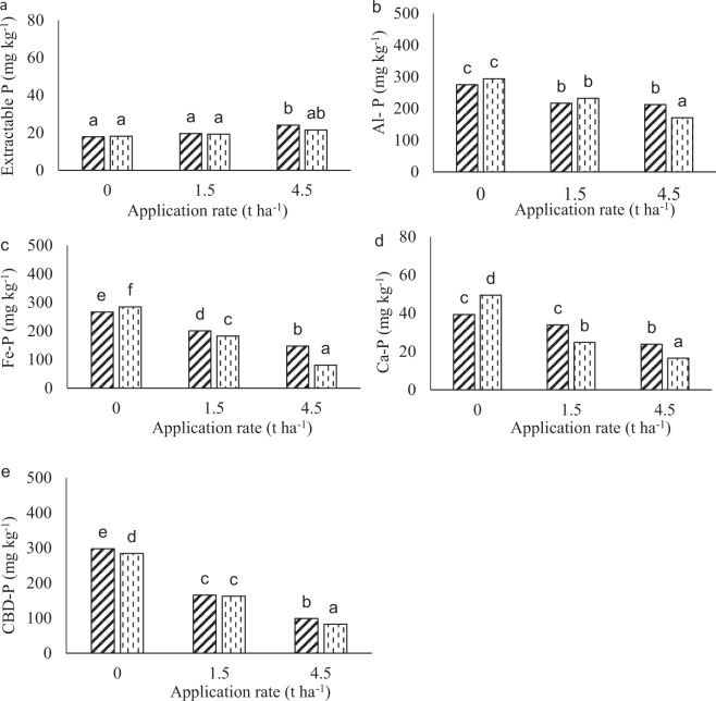 Eshowe soil P fractions at different application rates of lime at 112 days of incubation. Lime was applied at a rates of 0, 1.5 and 4.5 t ha−1 at different depth of 0–10 and 10–20 cm. Figure A, B, C, D and E indicate soluble-P, Al-P, Fe-P, Ca-P and CBD-P, respectively. Diagonally triped bars and vertically dashed bars represent 0–10 and 10–20 cm depth, respectively. Bars with same letters are not significantly different.