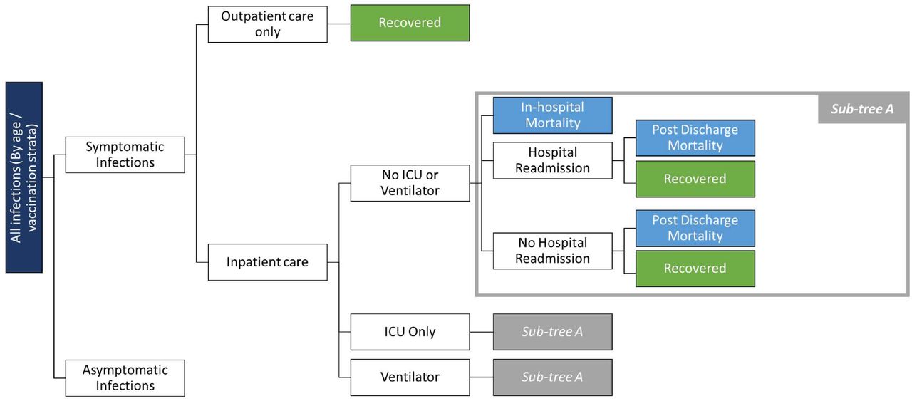 Infection Consequences Decision Tree