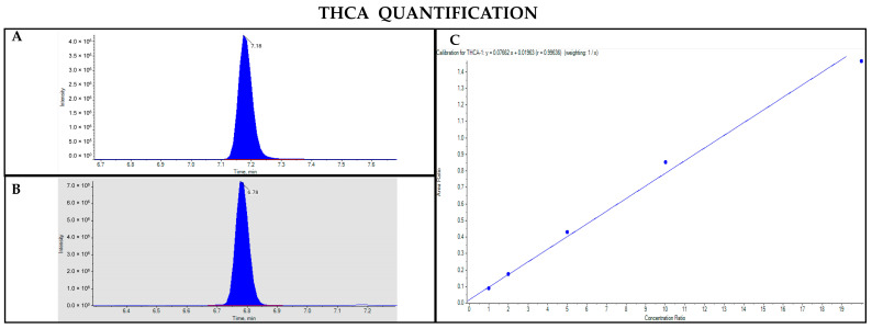 Chromatograms obtained by LC-MS analysis related to THCA (A) and Δ9-THC-d3 used as the IS (B). Calibration curve built for THCA quantification (C).