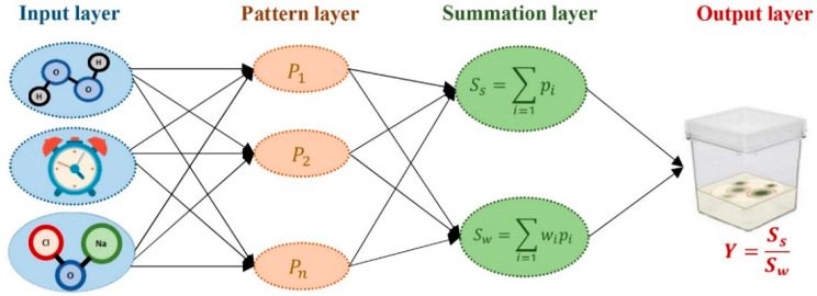 A schematic representation of generalized regression neural network (GRNN) used in this study.