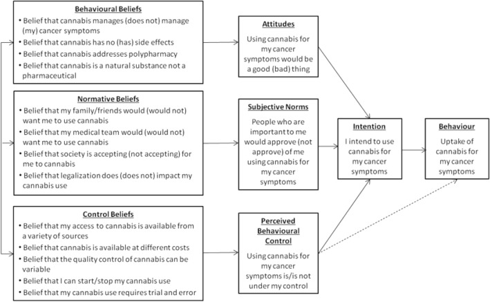Mapping findings from the literature review to the Theory of Planned Behaviour (from McTaggart-Cowan et al.) [10]