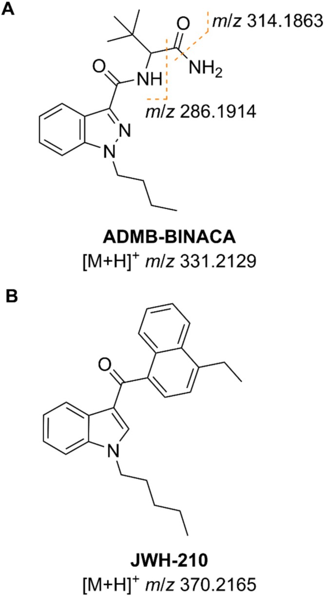 Molecular structure of SCRAs. ADMB‐BINACA with proposed fragmentation pattern (A) and JWH‐210 (B).