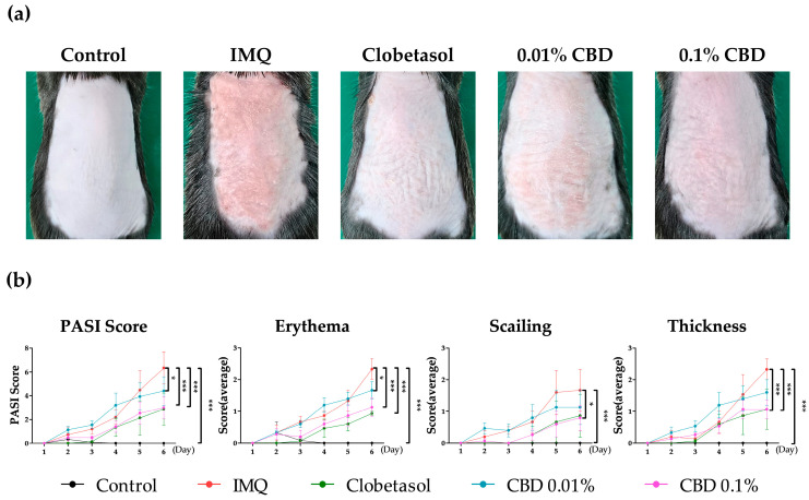 The impact of CBD cream on skin lesions in a psoriasis mouse model. (a) An image of the dorsal skin of a mouse on Day 6 is shown. (b) The PASI score, encompassing erythema, scaling, and thickness, is shown for Days 1–6. Data are presented as mean ± SEM values. * p < 0.05 and *** p < 0.001 compared to the Control group or IMQ group. CBD, cannabidiol; PASI, Psoriasis Area and Severity Index; IMQ, imiquimod; SEM, standard error of the mean.