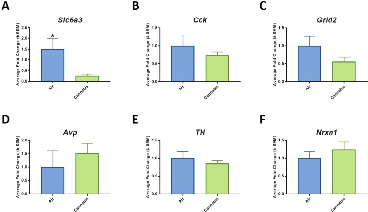Reduction of APA events and mRNA abundance in cannabis exposed rats. Specifically, reduced APA led to down-regulation of (A) Slc6a3, (B) Cck, (C) Grid2, and (E) TH. Although all were reduced relative to air-treated controls, only Slc6a3 reached statistical significance (F1;14 = 5.9377, p = 0.0299). In contrast, (D) Avp abundance increased relative to air treated controls, and (F) Nrxn1 did not differ from air-treated controls.