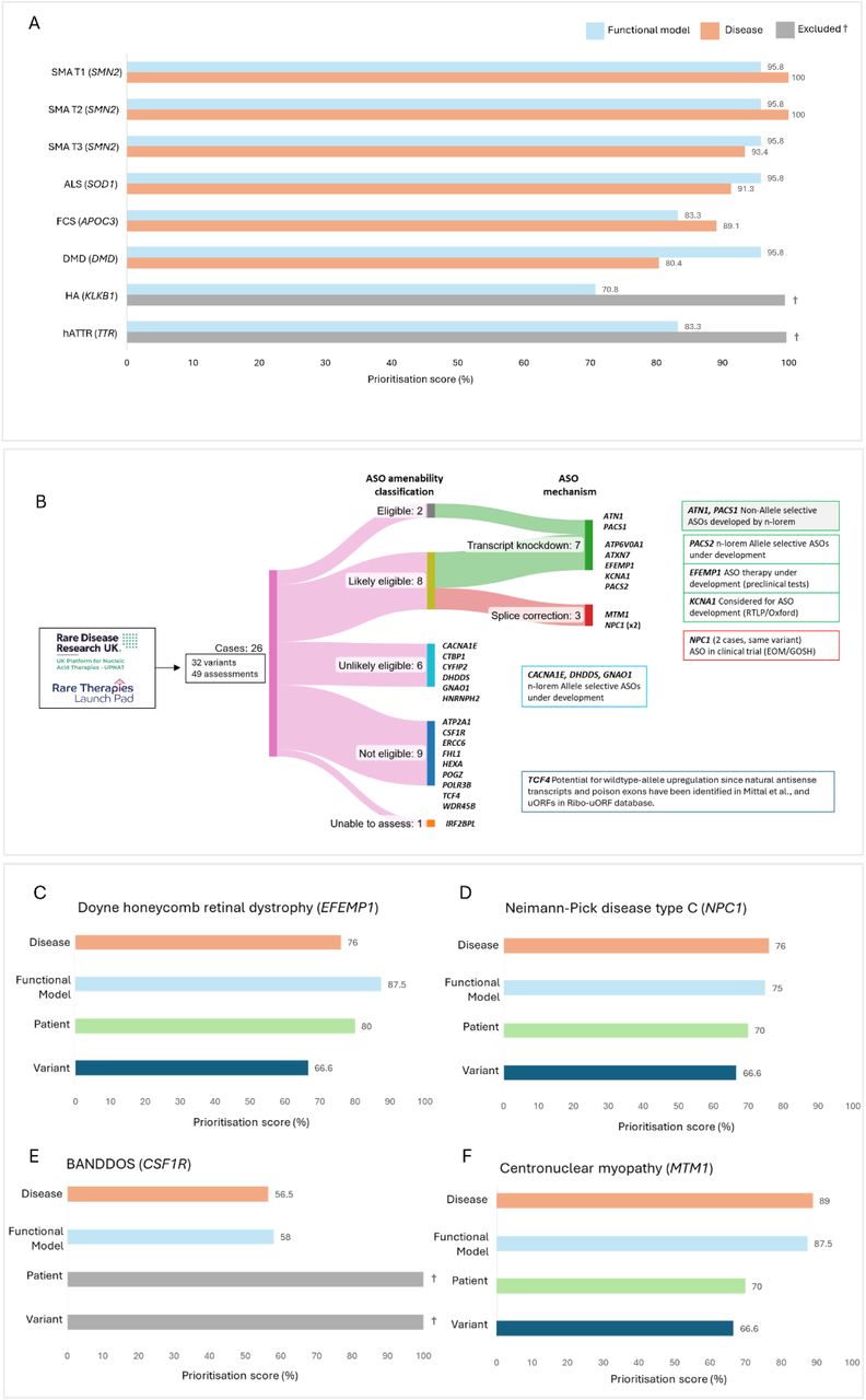 Application of the UPNAT assessment framework to targets of market approved ASOs and patient case examples referred from the UPNAT and RTLP networks.A) Disease and functional model assessment outcomes for targets of market-approved ASO therapies. Outcomes are displayed as prioritisation scores, representing the percentage of the maximum possible score achieved for each disease or gene. Hereditary angioedema (HA) and hereditary transthyretin amyloidosis polyneuropathy (hATTR) were excluded at the disease module stage, indicated by grey bars and † symbols. B) Variant assessment of the 26 individuals recruited through the UPNAT or RTLP networks. Assessments were made with N1C VARIANT guidelines (10). Nine amenable variants (‘Eligible’, or ‘Likely Eligible’) were identified for transcript knockdown or splice correction. Boxes indicate genes with ASOs either developed or under development. Grey box indicates genes assessed as ‘Eligible’. C) Assessment of a patient presenting with Doyne honeycomb retinal dystrophy and the causative pathogenic c.1033C>T, p.(Arg345Trp) toxic gain-of-function variant within the EFEMP1 gene. D) Assessment of a patient presenting with Neiman-Pick disease type C and the causative pathogenic c.1554-1009G>A splice disrupting variant within the NPC1 gene. E) Assessment of a patient presenting with BANDDOS and the pathogenic splice disrupting variant c.592+5 A>G in trans with a pathogenic nonsense variant within the CSF1R gene. Both variants were assessed as ‘Not Eligible’. Exclusion depicted by a grey bar and † symbol. F) Assessment of a patient presenting with centronuclear myopathy and the causative pathogenic target c.342+575C>G splice disrupting variant within the MTM1 gene. ALS, amyotrophic lateral sclerosis; FCS, familial chylomicronemia syndrome; DMD, Duchenne muscular dystrophy.