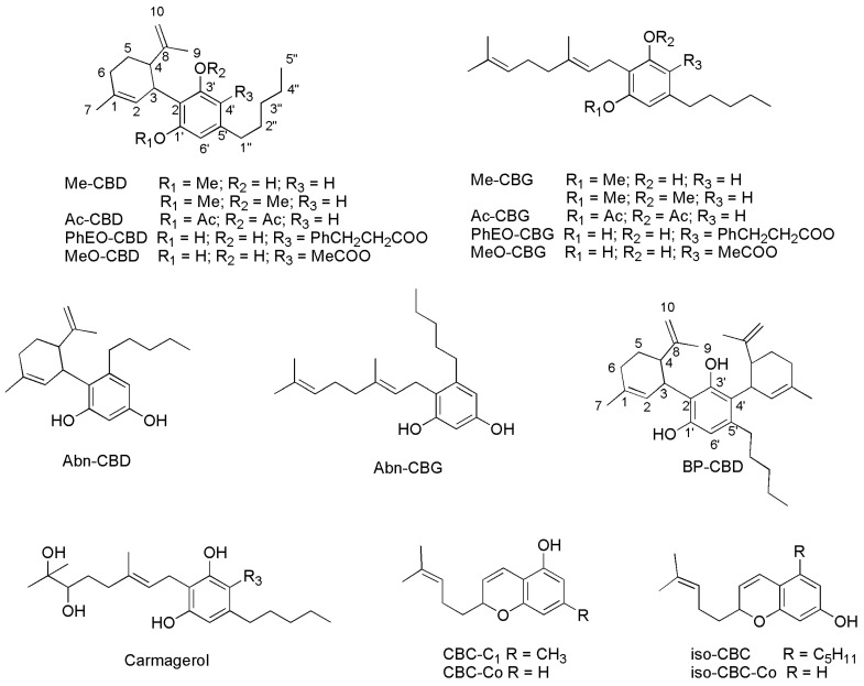 SCs reported in Table 4 whose chemical structure was not reported previously. Abn-CBD and Abn-CBG are defined as orto-isomers of para-derivatives CBD and CBG, being the orto- and para-positions those reciprocals to the pentyl chain.
