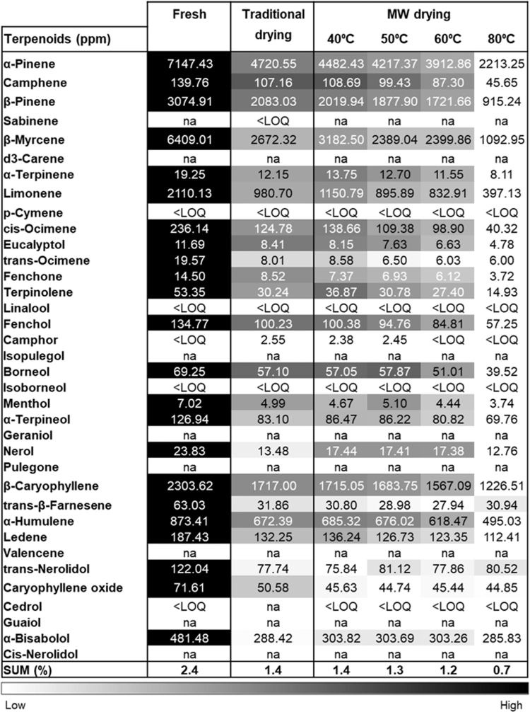 Heat map of terpenoid profile in Cannabis inflorescences before and after drying traditionally or with MW drying. The concentration of terpenoids (parts per million) was evaluated using GC/MS/MS for Cannabis Infiniti strain immediately after harvesting (fresh), after traditional drying, and after MW drying at the indicated temperatures. Absolute concentrations were color coded relative to the maximum value of each compound (n=2). SUM value represents the total terpenoid content in Cannabis inflorescences (%w/w). GC/MS, gas chromatography/mass spectrometry; LOQ, limit of quantification; na, not applicable.