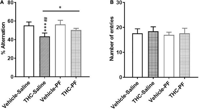 Y-maze test showing the percentage of spontaneous alternations (A) and the number of arm entries (B) in adult rats [post-natal day (PND) 75] chronically exposed to delta 9-tetrahydrocannabinol (THC) or its vehicle (cremophor and saline 1:1:18; Vehicle) during the adolescent period. Ascending doses of THC or its vehicle were administered by i.p. to adolescent rats, from PD 35 to PD 45. Bars represent the mean ± standard error of the mean (SEM; n = 5/6 male rats/group). Data were analyzed by two-way ANOVA and subsequent Tukey’s post hoc test for multiple comparisons. ***p < 0.0001 THC-Saline vs Vehicle-Saline; ##p < 0.01 THC-Saline vs Vehicle-PF; *p < 0.05.