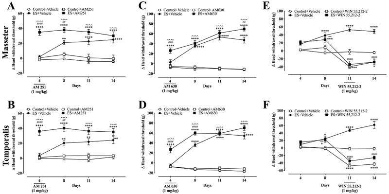 Effect of AM251, AM630, and WIN55,212-2 on emotional stress (ES)-induced mechanical sensitivity of masseter (A, C, E) and temporalis muscles (B, D, F) of rats. Data are reported as means±SE. *P<0.05, **P<0.01, ***P<0.001, ****P<0.0001 vs control + vehicle; ##P<0.01, ###P<0.001, ####P<0.0001 vs ES + vehicle; ˆˆP<0.01, ˆˆˆˆP<0.0001 vs control + drug [AM251 or AM630 or WIN55,212-2]; two-way ANOVA, Tukey post-test. AM251: selective CB1 receptor antagonist; AM630: selective CB2 cannabinoid antagonist; WIN55,212-2: non-selective cannabinoid receptor agonist.