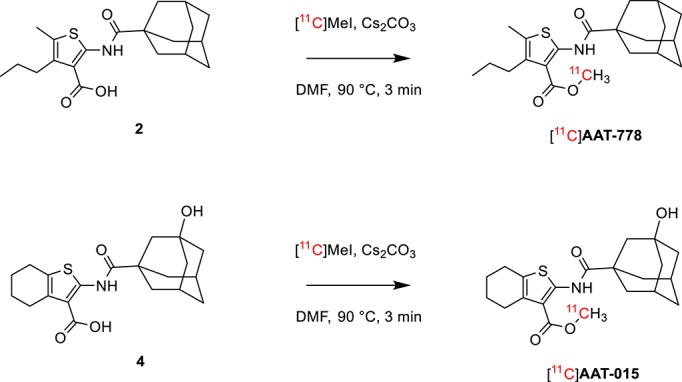 Radiosynthesis of [11C]AAT-778 and [11C]AAT-015.