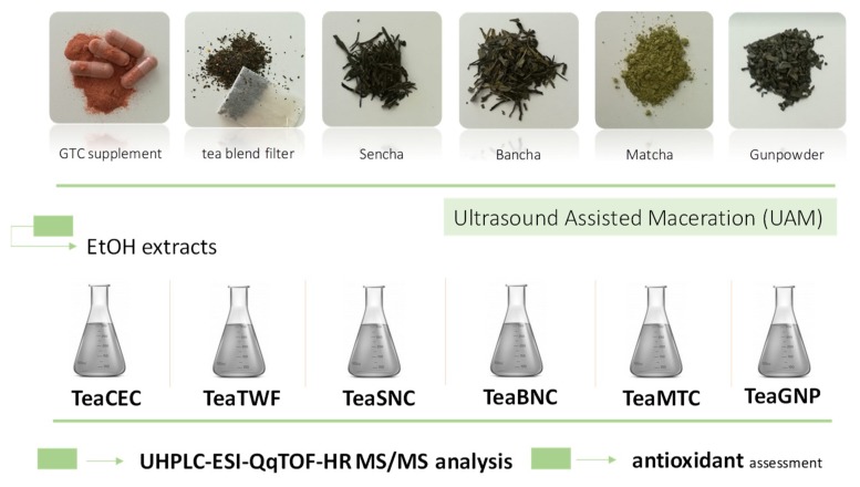 Extraction scheme applied on selected green tea matrices.
