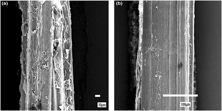 SEM micrographs of (a) untreated hemp fibre and (b) 6% NaOH treated hemp fibre. This figure has been reproduced from ref. 354 with permission from Elsevier, copyright 2003.