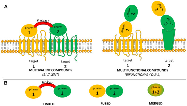 (A) Schematic distinction between multivalent and multifunctional compounds. (B) Schematic representation of various types of multitarget compounds according to the degree to which the included pharmacophores are integrated. ‘Pharm’ stands for ‘pharmacophore’.