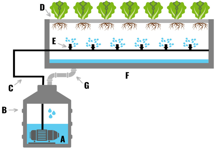 An aeroponic system consisting of a water pump (A), nutrient reservoir (B), watering line (C), a plant support plate (D), spray heads/nebulizers (E), a collection tray (F), and a return pipe (G). Plants are supported above the spray heads such that the roots of the plant are exposed to the air. Nutrient solution is misted onto the roots of the plants via the spray heads and runoff is collected and returned to the nutrient solution reservoir.