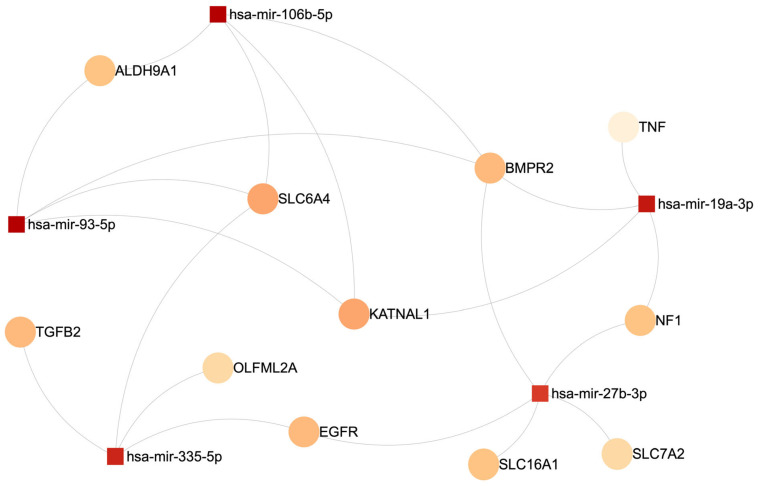 Top 5 differentially expressed miRNAs with the most connections to genes both differentially expressed and predicted as miRNA targets.
