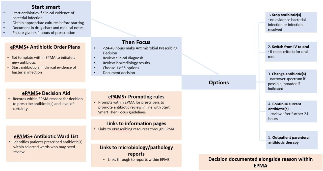 ePAMS+ intervention components alongside the national ‘Start Smart-Then Focus’ Guidelines
