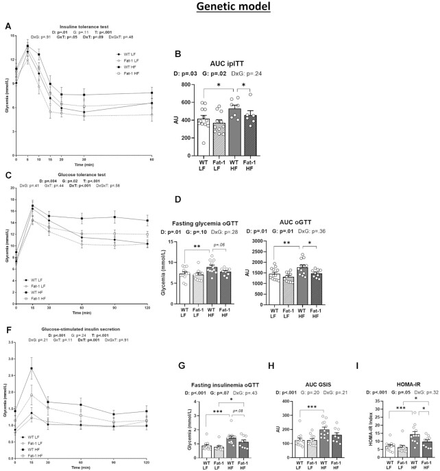 The endogenous production of ω-3 PUFA significantly improves glucose homeostasis. Panels (A) Glycemic response and (B) corresponding area under the curve (AUC) for the insulin tolerance test (ipITT) performed at week 10. (C) Glycemic response, (D) fasting glycaemia, and (E) AUC before and during the glucose tolerance test (oGTT) performed at week 12. (F) Glucose-stimulated insulin secretion, (G) fasting insulin, and (H) AUC before and during the oGTT. (I) Homeostasis model assessment of insulin resistance (HOMA-IR). Values are means ± SEM of n = 9–13 mice per group. For the genetic model: two-way ANOVA followed by Tukey’s post-hoc test. P-values of main effects for diet (D) and gene (G) or diet × gene (D × G) interaction are recorded under the title of each graph. *P < .05, **P < .01, ***P < .001.