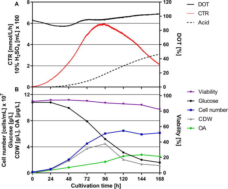 Scale-up of the OA production process from shake flask to 7-L STR based on εmax. Upon pre-culture in a 1.6-L STR with an adaption phase of 8 h and an εmax of 3.9 W/kg, cells were transferred into a 7-L STR at a cell density of 1 × 107 cells/mL. A Online parameters of D. discoideum pChR7 batch fermentation including carbon dioxide transfer rate (CTR, red), dissolved oxygen tension (DOT, black) and sulfuric acid consumption (dotted) were monitored. B Offline parameters such as cell dry weight (CDW, grey), cell number (blue), glucose consumption (black), viability (violet) and olivetolic acid production (OA, green) are depicted over the course of the fermentation. Culture conditions: 7-L STR; HL5 medium with 10 g/L glucose, 20 µg/mL G418 and 20 µg/mL doxycycline; pH = 6.5 ± 0.05 was maintained by the addition of 10% H2SO4; tip speed: 1.78 m/s; stirring rate = 530 rpm; aeration rate: 0.3 vvm; temperature 22 °C