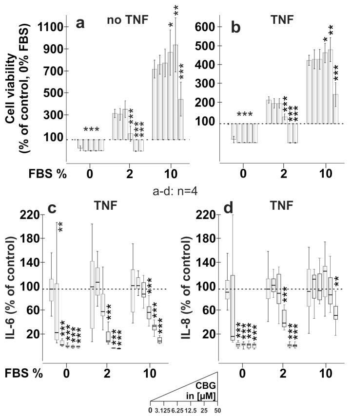 Influence of CBG on cell viability, IL-6 and IL-8 production of RASF. (a,b) Cell viability of RASF after stimulation with CBG for 24 h, either with (b) or without (a) 72 h pre-treatment with TNF [10 ng/mL] in culture medium containing 0%, 2% or 10% FBS. The dotted line at 100% represents the control. All values were normalized to the control at 0% FBS (a,b). (c,d) Reduction of TNF-induced IL-6 (c) and IL-8 (d) production by CBG in culture medium containing 0%, 2% or 10% FBS. The dotted line represents the control. Control IL-6 levels were 4.1 ng/mL ± 3.1 ng/mL (0% FBS), 23.5 ng/mL ± 24.6 ng/mL (2% FBS) and 18.6 ng/mL ± 12.4 ng/mL (10% FBS). Control IL-8 levels were 14.4 ng/mL ± 5.0 ng/mL (0% FBS), 38.9 ng/mL ± 16.1 ng/mL (2% FBS) and 44.0 ng/mL ± 26.7 ng/mL (10% FBS). *** p < 0.001, ** p < 0.01, * p < 0.05 for differences between concentrations of CBG vs. control. Block design ANOVA with Dunnett’s post hoc test was used for comparisons. The box plots of each series (0, 2 and 10% FBS) represent 0 µM, 3.125 µM, 6.25 µM, 12.5 µM, 25 µM and 50 µM CBG.