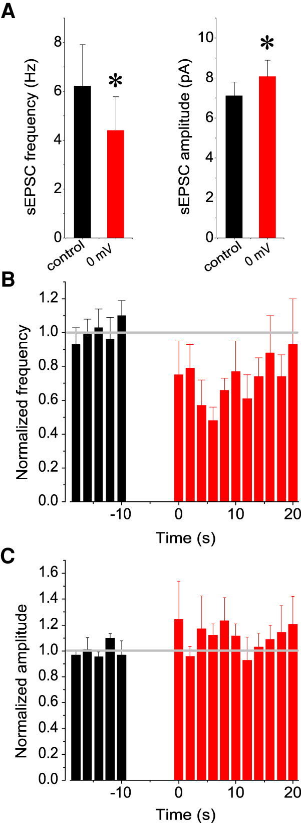 Frequency and amplitude patterns during DSE in interneuron. (A) Mean frequency (left panel, n = 7, [*] P < 0.01, paired t-test) and amplitude (right, [*] P < 0.02) of spontaneous EPSCs. Note a significant decrease in frequency, but an increase in amplitude (see Results). (B,C) The time course of normalized frequency and amplitude values (bin size 2 sec).