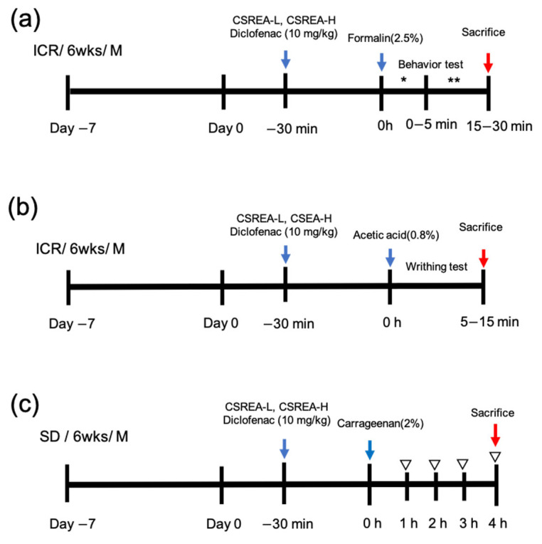 Schematic representation of the in vivo pain models used in this study (a) Formalin test in mice; (b) writhing test in mice; and (c) carrageenan-induced paw edema model in rats *: Phase I; **: Phase II; ▽: measurement of paw edema.