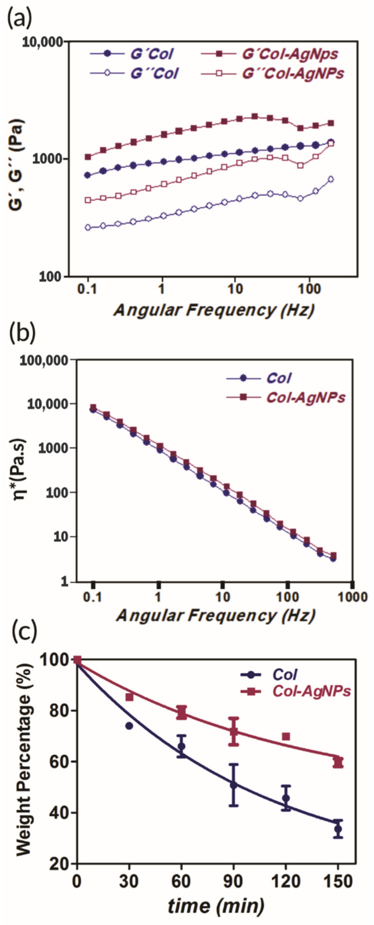 Mechanical properties (a), (b) and stability (c) of collagen scaffolds. (a) Dependence of the elastic (G′) and viscous modulus (G″) with frequency and (b) the viscosity (η*) of Col-AgNPs 67 mg/g (pink) and Col control (blue) at 37 °C. (c) Collagenase degradation of collagen matrices. Weight percentage is shown as a function of time for Col control (blue) and Col-AgNPs 67 mg/g (pink). Results are expressed as mean ± SD from triplicate experiments.