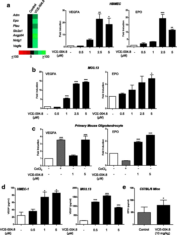 VCE-004.8 induces the expression of HIF-dependent genes. a Human brain microvascular endothelial cells were stimulated with VCE-004.8 (5 μM) for 12 h and the expression of genes involved in the human hypoxia signaling pathway determined by PCR array and qPCR in the case of VEGFA and EPO genes. Heat maps show the significantly upregulated (green) and downregulated (red) genes in VCE-004.8-treated cells compared with control. Data represent the mean ± SD (n = 3). *p < 0.05, **p < 0.01, ***p < 0.001 VCE-004.8-treated cells vs untreated cells (one-way ANOVA followed Tukey’s test). b, c The mRNA expression levels of VEGFA and EPO genes were quantified by qPCR in MO3.13 cells and primary mouse oligodendrocyte cells respectively. Data represent the mean ± SD (n = 3). *p < 0.05, ***p < 0.001 VCE-004.8-treated cells vs untreated cells (one-way ANOVA followed Tukey’s test). d VEGF production was determined by ELISA in the supernatants of HMEC-1 cells and M03.13 cells treated with VCE-004.8. Data represent the mean ± SD (n = 3). *p < 0.05, ***p < 0.001 VCE-004.8-treated cells vs untreated cells (one-way ANOVA followed Tukey’s test). e EPO levels were determined in plasma from C57BL/6 treated with VCE-004.8 (10 mg/kg) for 3 weeks. Plasma levels were increased after the treatment with VCE-004.8. Results are expressed as mean ± SEM (n = 6 animals per group). *p<0.05 vs untreated mice (unpaired two-tailed Student’s t test)
