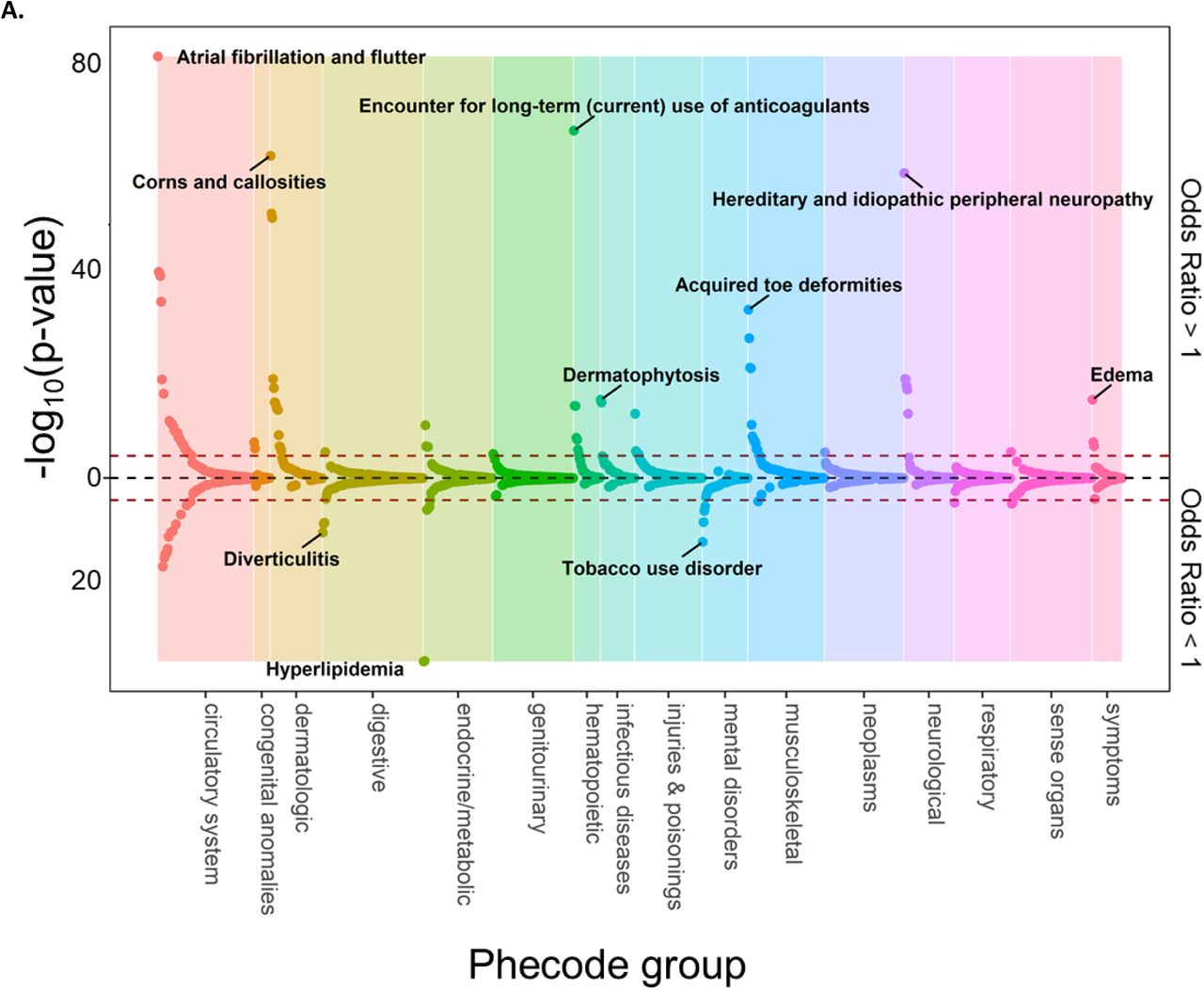 Phenome-wide associations with genetically predicted height in non-Hispanic White (A) and non-Hispanic Black (B) individuals.Plot of phecodes versus -log10(p-value) for association with genetically-predicted height in non-Hispanic White (A) and non-Hispanic Black (B) participants in MVP. Phecodes were limited to single decimal place for clarity (e.g., 427.2 for atrial fibrillation or flutter is shown but 427.21 for atrial fibrillation is not). Associations with a negative beta coefficient (i.e., odds ratio < 1) are plotted below the x-axis, and those with a positive beta coefficient (i.e., odds ratio > 1) are plotted above the x-axis. Red dotted lines indicate race/ethnicity-specific phenome-wide significance thresholds (p < 3.6E-5 for non-Hispanic White and p < 4.8E-5 for non-Hispanic Black). The top association (lowest p-value) within each phecode group is labeled.