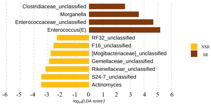 Linear discriminant analysis with effect size (LEfSe) at the genus level.