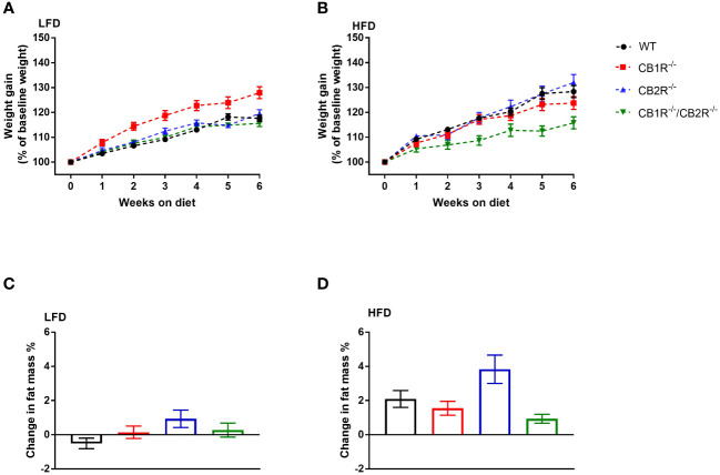 Body weight gain of female mice lacking the cannabinoid receptors Arrows indicate the comparison with WT mice. (A) Body weight gain of female mice on LFD for 6 weeks (n = 16-24/group). Repeated measure ANOVA Fgenotype = 9.7; p <0.001. (B) Body weight gain of female mice on HFD for 6 weeks (n = 14-25/group). Repeated measure ANOVA Fgenotype = 4.9; p = 0.004. (C) Change in body fat mass of female mice when fed with LFD for 6 weeks (n = 9-23/group). One-way ANOVA: F = 2.2, p = 0.09. (D) Change in body fat mass of female mice when fed with HFD for 6 weeks (n = 13-23/group). One-way ANOVA: F = 4.5, p = 0.006.