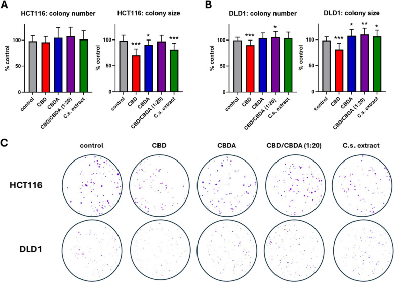 Clonogenic growth of colorectal cancer cells under CBD, CBDA, CBD/CBDA (1:20), or C.s. extract treatment. Quantification of colony number and average colony size in HCT116 A and DLD1 B cells following treatment with 10 µM of either CBD, CBDA, CBD/CBDA (1:20), or C.s. extract administered at the time of seeding. Cells were treated for 24 h, followed by 7 days of incubation under standard culture conditions to allow colony formation. Results are normalized to control cells treated with solvent only and presented as mean ± SD from three independent experiments (n = 3). *, **, and, *** indicate statistically significant differences compared to the control at p ≤ 0.05, < 0.01, and < 0.001, respectively. C Representative images of colony formation assays from HCT116 and DLD1 cells under the same treatment conditions