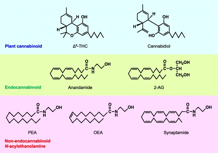 Chemical structures of representative plant cannabinoids, endocannabinoids, and non-endocannabinoid N-acylethanolamines