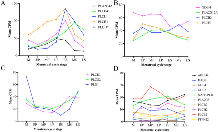 The expression profile of the four distinct groups of endocannabinoid synthesizing enzymes. (A) Group 1 showed high gene expression (≈ 50–150 CPM) that increased across the proliferative stage and peaked during the early secretory to mid secretory stage. (B) The second group was characterised by median gene expression (≈ 20–80 CPM) that generally increased from the menstrual to early proliferative stage and then showed a gradual decline. (C) This group was characterised by a low- medium expression (≈ 10–80 CPM) that decreased in the early proliferative stage and subsequently increased in the secretory stage. (D) The fourth group was characterised by low gene expression (≈ 1–30 CPM) that showed only small changes across the stages. M = Menstrual, EP = Early proliferative, MP = Mid proliferative, LP = Late proliferative, ES = Early secretory, MS = Mid secretory, LS = Late secretory.