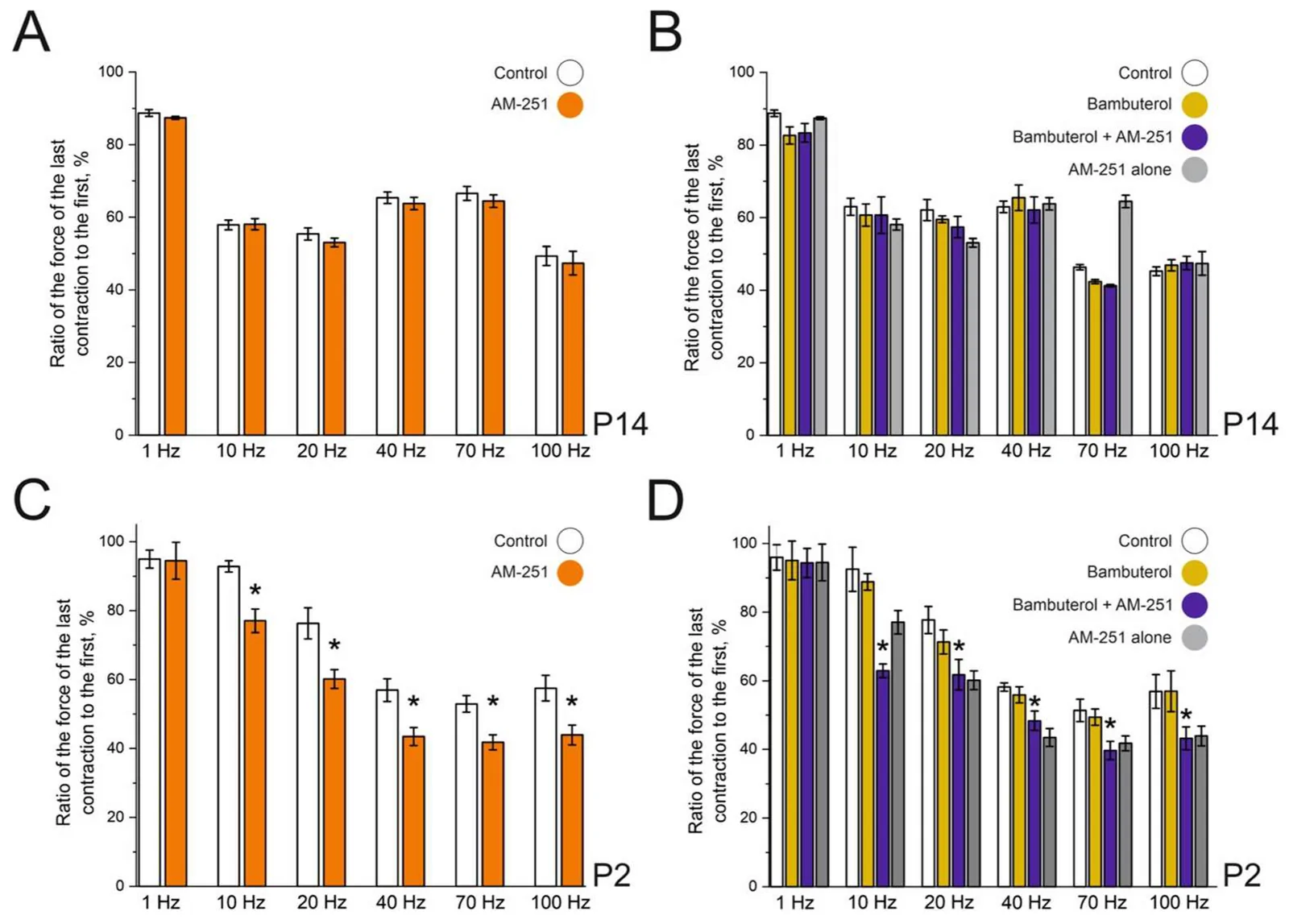 Effects of AM-251 (5 μM), bambuterol (100 nM) and AM-251 after bambuterol on the force of diaphragm muscle contraction at different frequencies of motor nerve stimulation (1–100 Hz) in P14 (A,B) and P2 (C,D) aged mice. n = 8 muscles; N = 8 animals; * p < 0.05.