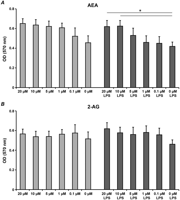 The effects of endocannabinoids on proliferation/viability of hPdLCs.hPdLCs were stimulated by different concentrations of AEA (A) or 2-AG (B) in the presence or in the absence of P. gingivalis LPS (1 µg/ml) for 24 h and the proliferation/viability was measured by the MTT method. Cells stimulated with DMEM supplemented by 1% FCS were used as a control (Co). The Y-axis represents mean ± s.e.m. of optical densities measured at 570 nm in 4 independent experiments. *Means were significantly different between groups (P<0.05).