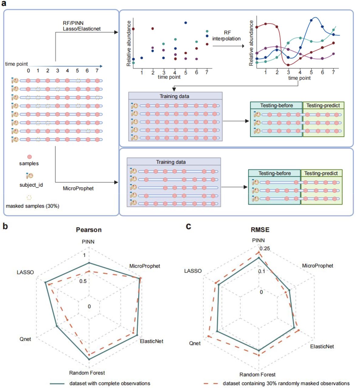 Evaluating model robustness under randomly masked observations.(a) Schematic illustrating the 30% random masking strategy applied to the Synthetic Microbial Communities dataset. The top panel illustrates the workflow for benchmark methods (e.g., PINN, LASSO, ElasticNet, Q-net, and Random Forest), which require performing RF-based interpolation to fill in missing observations caused by the 30% random masking before proceeding with prediction. While the bottom sections depict how training and testing are conducted for MicroProphet, which directly handles incomplete dataset without interpolation. (b-c) Comparison of predictive performance between MicroProphet and benchmark methods on the dataset with complete observations (green solid line) and dataset containing 30% randomly masked observations (red dashed line). (b) Pearson correlation coefficient (higher values indicate better prediction accuracy); (c) Root mean squared error (RMSE; lower values indicate better prediction accuracy).