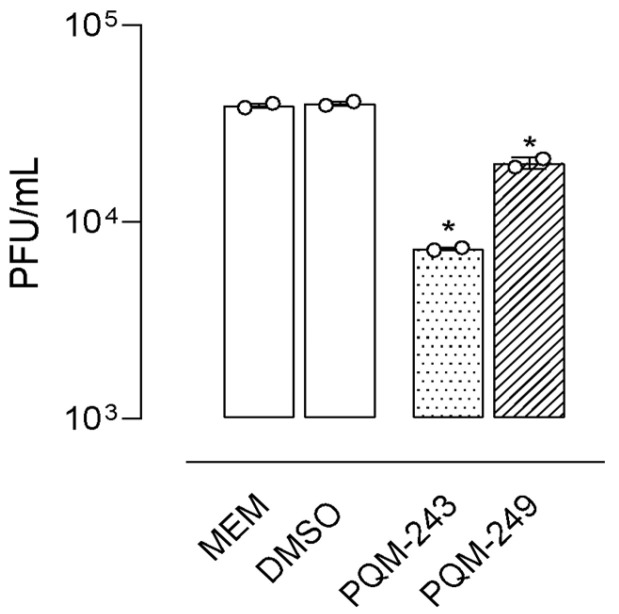 PQM-243 and -249 exhibited virucidal effects. The graphs display titration results after SARS-CoV-2 particles were incubated at 37 °C with PQM-243 and -249 (at 100 μM) for 1 h. Data are shown as mean ± standard error of the mean (SEM), * p < 0.05 indicates a statistical difference when compared to the viral control by ANOVA. MEM = minimal essential medium (viral control); PFU = plaque-forming units.