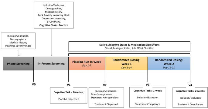 Study schedule. Study schedule, testing visits and measures at each trial phase
