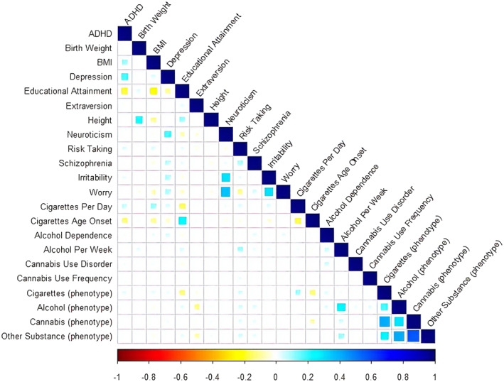 Correlations between the polygenic scores and the phenotype measures assessing substance use (cigarettes, alcohol, cannabis and other illicit substances). Note. ADHD, attention deficit hyperactivity disorder; BMI, body mass index. Blank cells represent nonsignificant coefficients (p > 0.05). The correlation estimates and p values are reported in Table S5. Included are 18 polygenic scores (Rows 1–18) and 4 phenotype measures assessing substance use (cigarettes, alcohol, cannabis and other illicit substances) across ages 17, 20 and 22 (Rows 19–22)