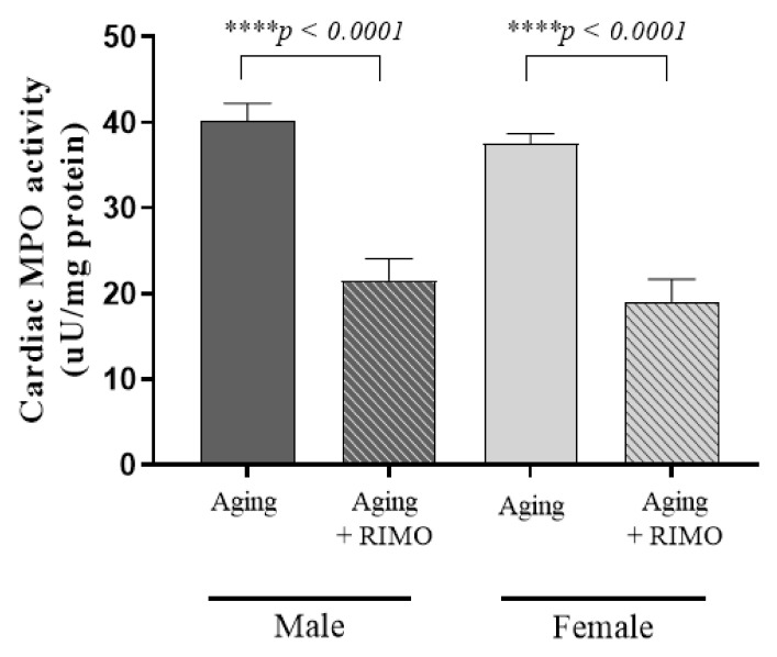 The effects of rimonabant treatment on cardiac MPO activity in aged animals. (MPO; expressed as µunit/mg protein). Results are shown as means ± S.E.M. n = 6–9. **** p < 0.0001: Statistical significance between rimonabant-treated and untreated, sex-matched aging rats. RIMO = rimonabant, MPO = myeloperoxidase enzyme.