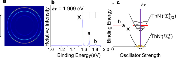 Photoelectron spectrum of ThN−.a Photoelectron images, b spectra for ThN− at photon energy hν = 1.909 eV and c the energy level schematic for the ground state ThN− (1Σ0+) → ThN (2Σ1/2+) transition process, the transitions are labelled to match the corresponding peaks in b. Vertical lines in b represent vibrational structures, and the double arrow on the left of the image in a indicates the laser polarization. Source data are provided as a Source data file.