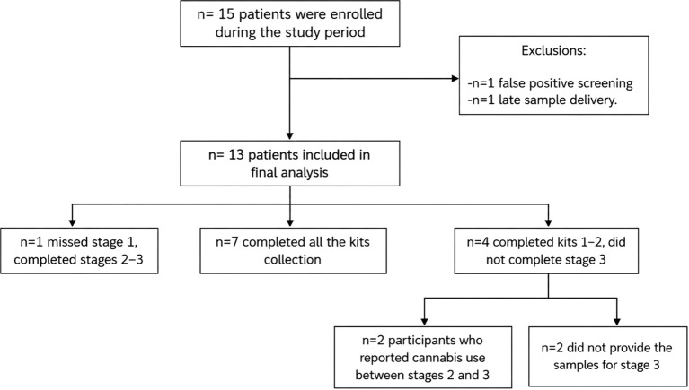 Flowchart of participant inclusion and sample completion. Fifteen postpartum women were enrolled. Two were excluded: one because of a false-positive screening result and one because samples were delivered outside the defined collection period. Thirteen participants were included in the final analysis. Among them, seven completed all three sampling stages, one missed stage 1 but completed stages 2 and 3, and five completed stages 1 and 2 but not stage 3. Of these five, three were lost to follow-up and two reported cannabis use between stages 2 and 3.