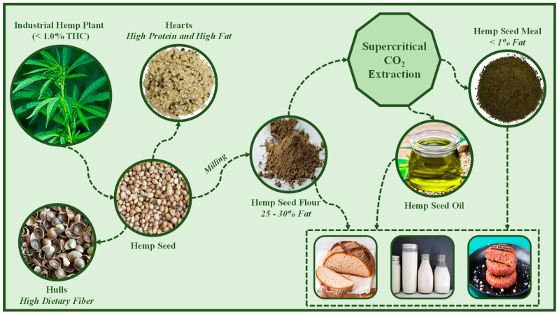 Food-grade ingredients and products from hemp seed obtained from supercritical CO2 extraction technique.