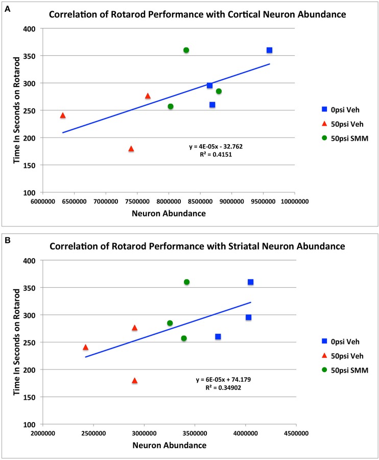 Regression analysis showing the relationship between rotarod performance and the extent of cortical (A) and striatal (B) neuronal loss and rescue, combining the data for all three groups of mice.