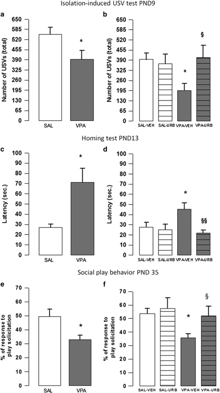 Isolation-induced USV, homing and social play behavior tests. Prenatal VPA exposure reduced isolation-induced USV emission at PND 9 (a; n (SAL)=13, n (VPA)=17), altered homing behavior at PND 13 (c; n (SAL)=10, n (VPA)=15) and reduced social play behavior at PND 35 (e; n (SAL)=14, n (VPA)=12). URB597 reversed the altered behavioral phenotype displayed by VPA-exposed rats in the isolation-induced USV (b; n (SAL-VEH)=12, n (VPA-VEH)=11, n (SAL-URB)=10, n (VPA-URB)=9), homing (d; n (SAL-VEH)=11, n (VPA-VEH)=11, n (SAL-URB)=14, n (VPA-URB)=8) and social play behavior (f; n (SAL-VEH)=9, n (VPA-VEH)=11, n (SAL-URB)=8, n (VPA-URB)=8) tests. Data represent mean±s.e.m. *P<0.05 vs SAL-VEH group; §P<0.05, §§P<0.01 vs VPA-VEH group (Student's t-test (a, c, e); Student's–Newman–Keuls post hoc test (b, d, f)). PND, postnatal day; SAL, saline; USV, ultrasonic visualization; VEH, vehicle; VPA, valproic acid.