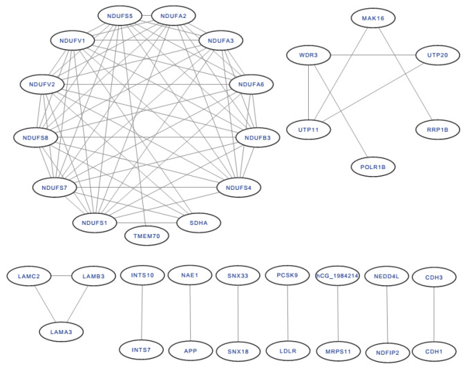 The protein-protein interaction of DEPs.