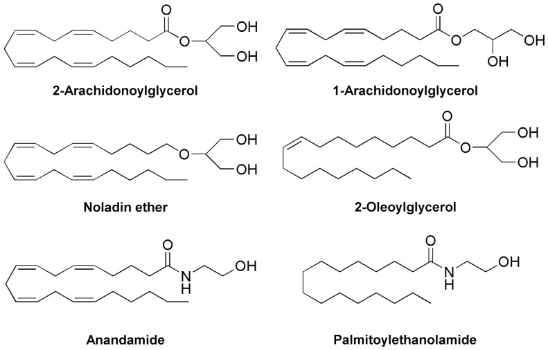 Chemical structures of endogenous monoacylglycerols and N-acylethanolamines.2-Arachidonoylglycerol is a potent cannabinoid CB1 and CB2 receptor agonist that can undergo isomerization to 1-arachidonoylglycerol, which is not considered to have a role as an endocannabinoid. Noladin ether is a putative endocannabinoid that is much more stable to hydrolysis and enzymatic degradation than monoacylglycerols. Anandamide is an endocannabinoid and endovanilloid, whereas palmitoylethanolamide, which has no direct activity at cannabinoid CB1 and CB2 receptors, potentiates the effect of endocannabinoids and TRPV1-mediated responses.
